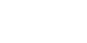 The North River Family Chiropractic website white logo