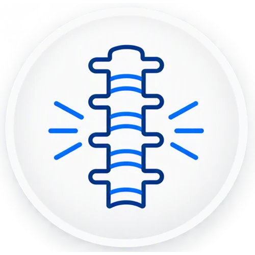 spine icon